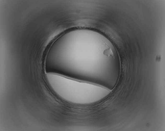 X0000093450488200710121008