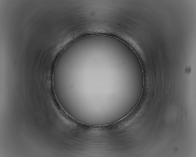 X0000093450489200710121008