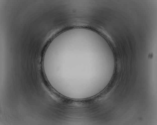 X0000093450490200710121008
