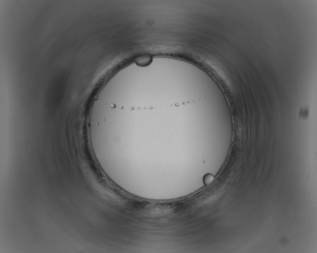 X0000093450491200710121008