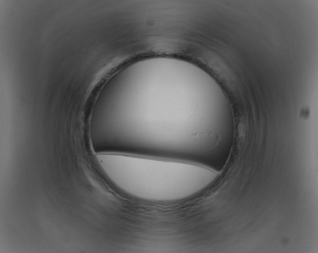 X0000093450492200710121008