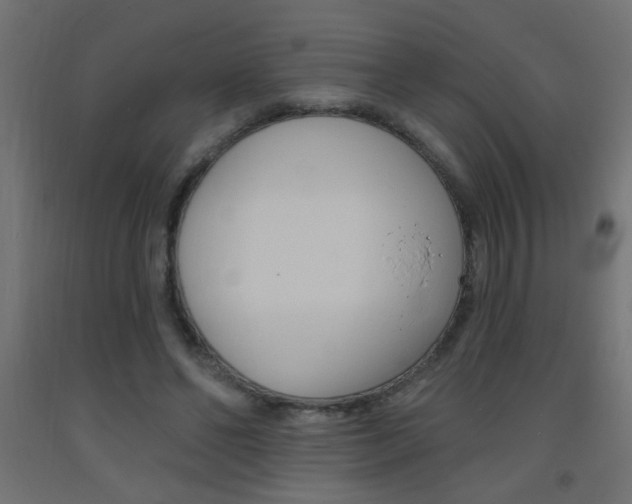 X0000093450494200710121008