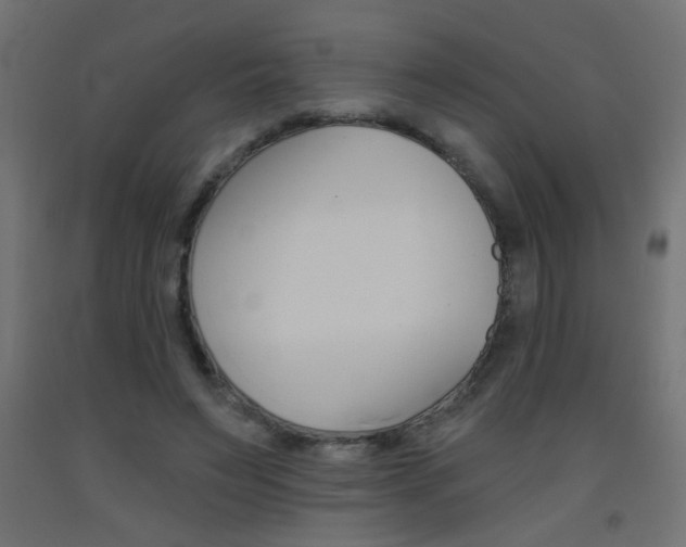 X0000093450495200710121008