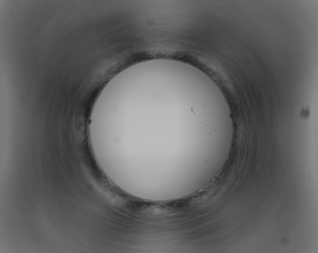 X0000093450498200710121008