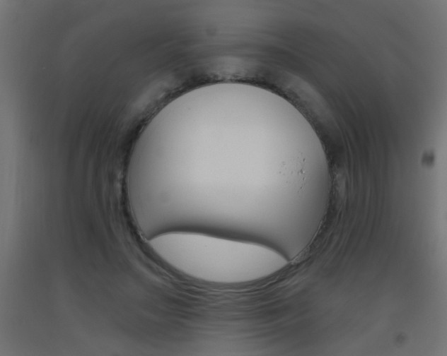 X0000093450499200710121008
