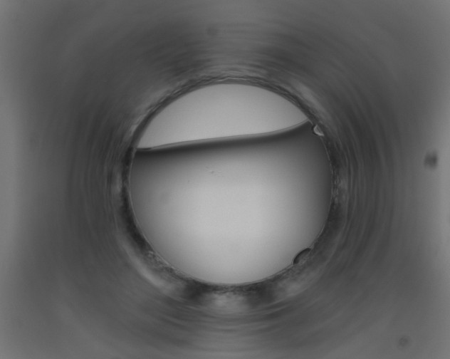 X0000093450500200710121008