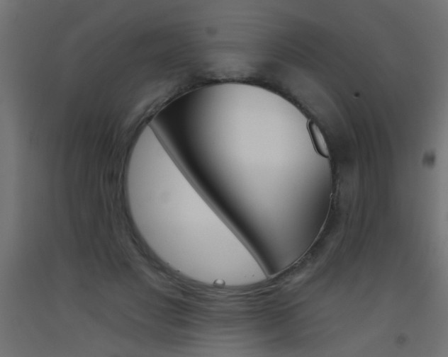 X0000093450501200710121008