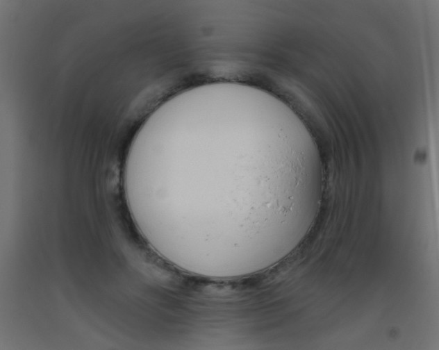 X0000093450502200710121008