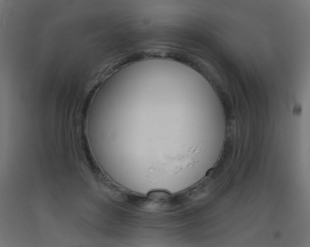 X0000093450504200710121008