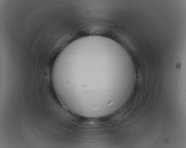 X0000093450506200710121008