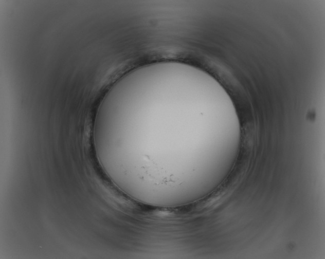 X0000093450509200710121008