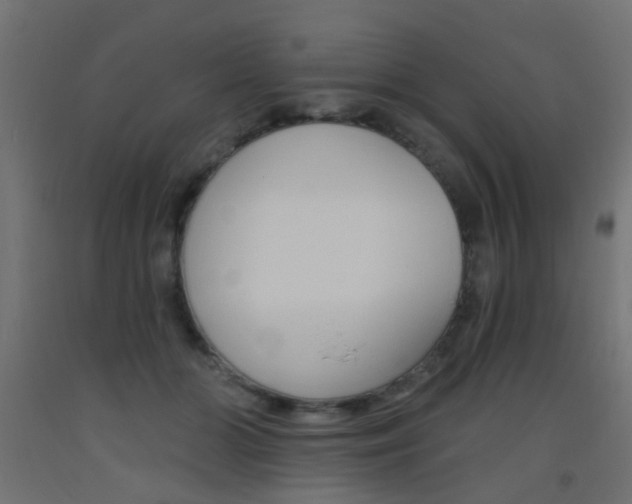 X0000093450510200710121008