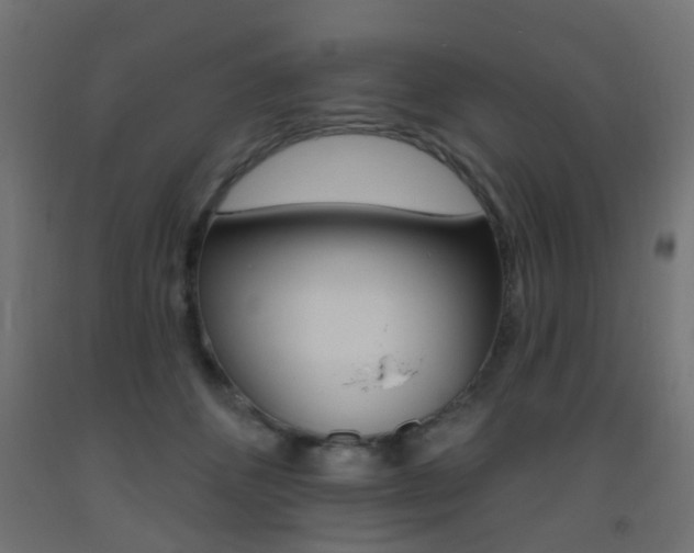 X0000093450512200710121008