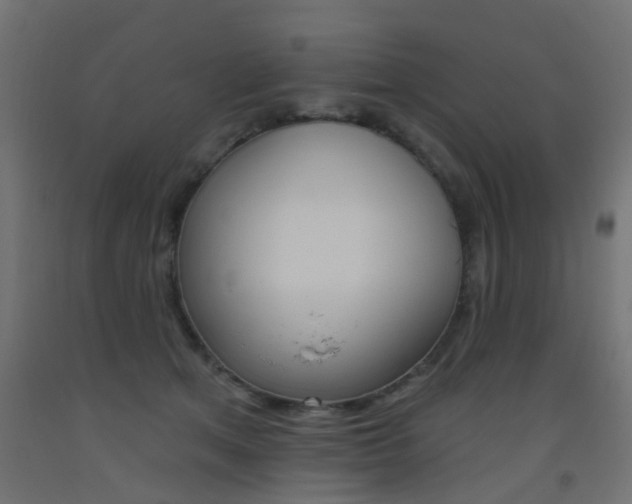X0000093450513200710121008