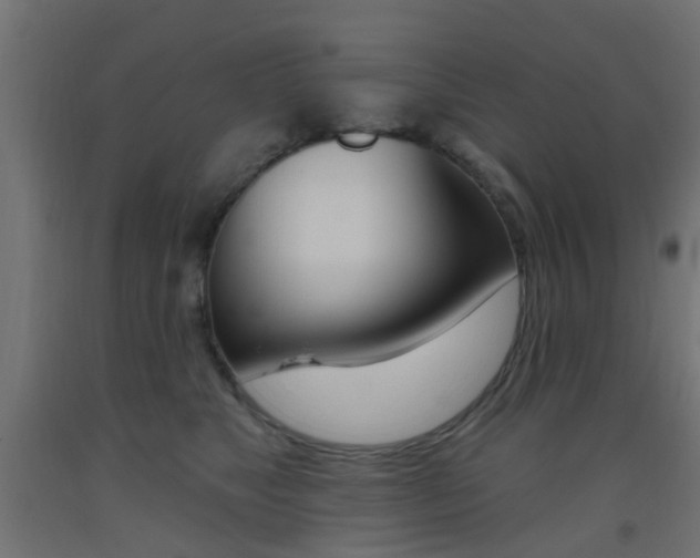 X0000093450517200710121008