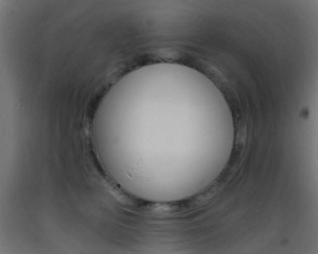 X0000093450518200710121008