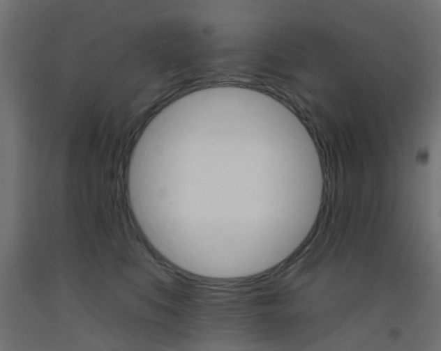 X0000093450519200710121008