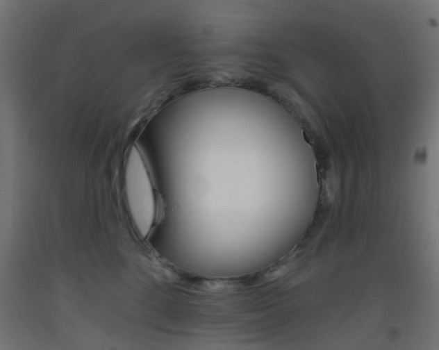 X0000093450520200710121008