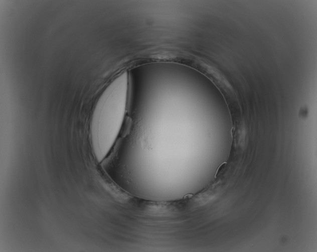 X0000093450521200710121008