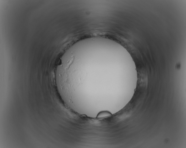 X0000093450523200710121008