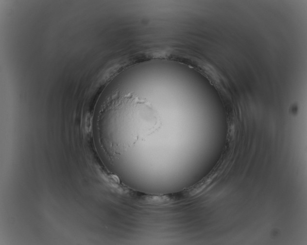 X0000093450525200710121008