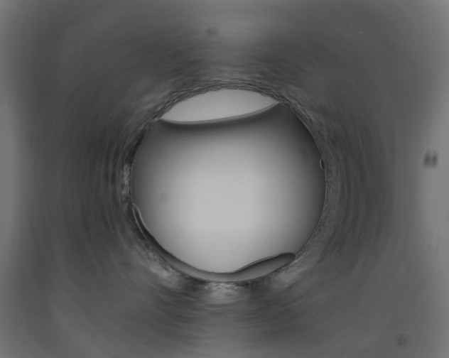 X0000093450528200710121008
