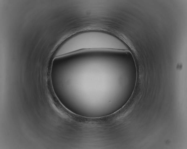 X0000093450530200710121007
