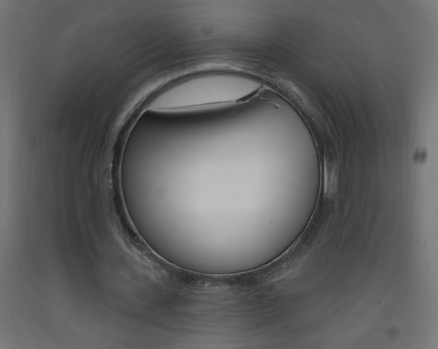 X0000093450531200710121007