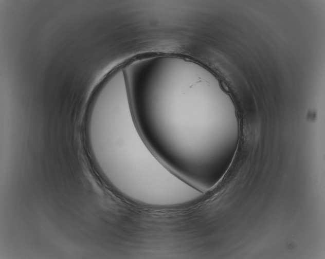 X0000093450532200710121007