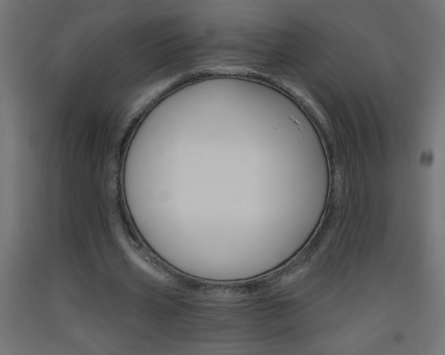 X0000093450533200710121007