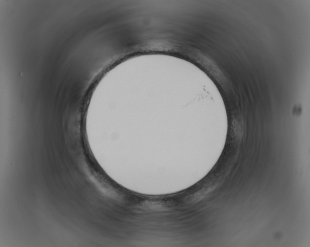 X0000093450534200710121007