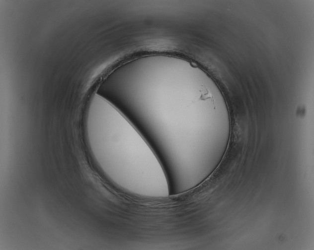 X0000093450535200710121007