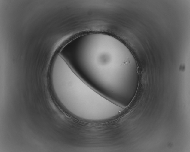 X0000093450536200710121007