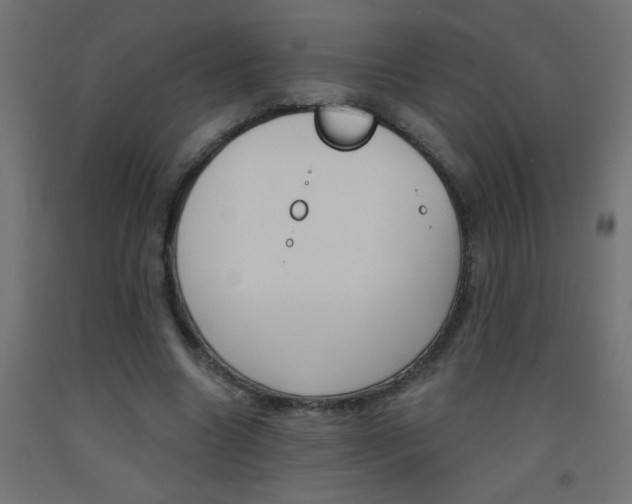 X0000093450538200710121007