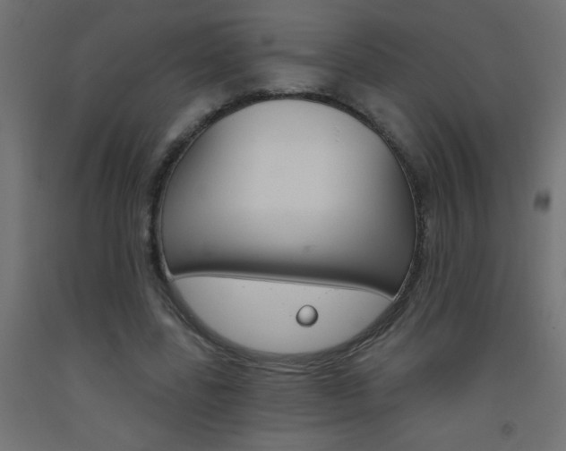 X0000093450539200710121007