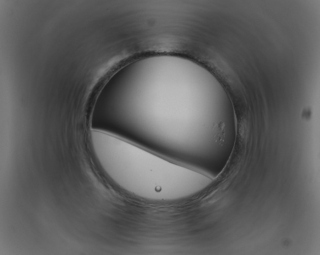 X0000093450540200710121007
