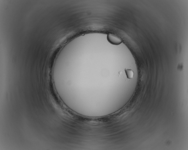X0000093450542200710121007