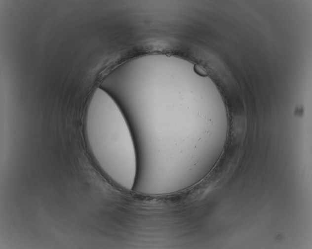 X0000093450545200710121008