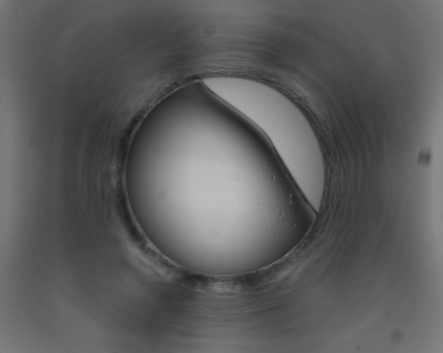 X0000093450546200710121008