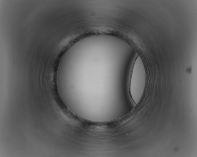 X0000093450548200710121008