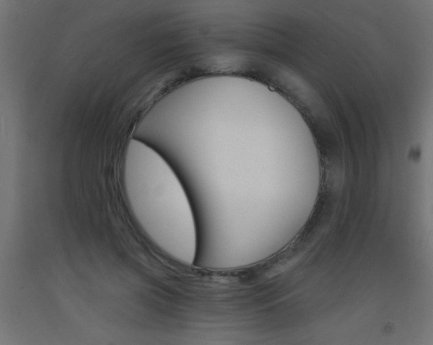 X0000093450549200710121008