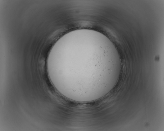X0000093450550200710121008