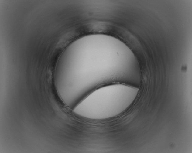 X0000093450551200710121008