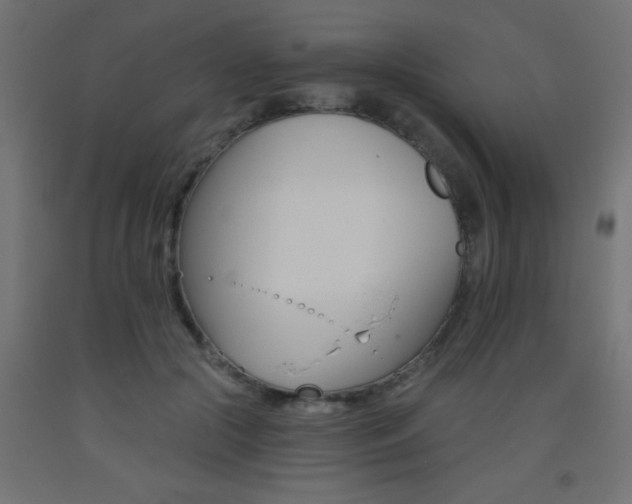 X0000093450553200710121008