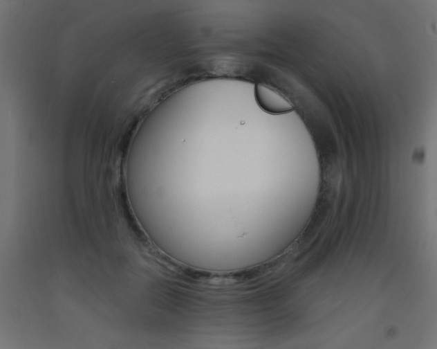 X0000093450554200710121008