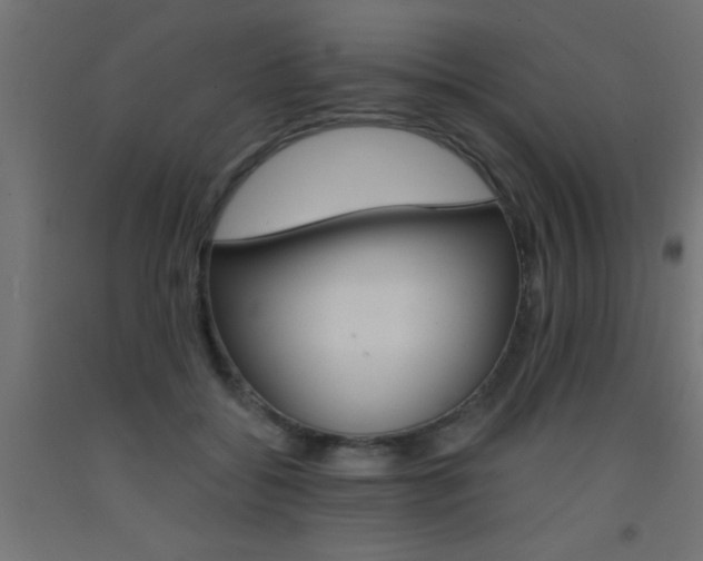 X0000093450556200710121008