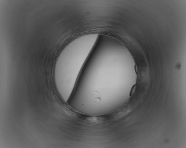 X0000093450558200710121008