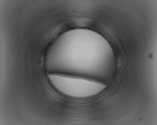 X0000093450559200710121008
