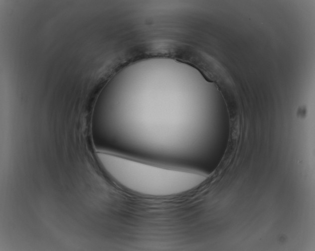 X0000093450560200710121008