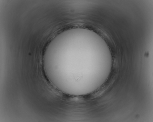 X0000093450561200710121008